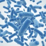 Get to know Probiotics the Helpful Microbes