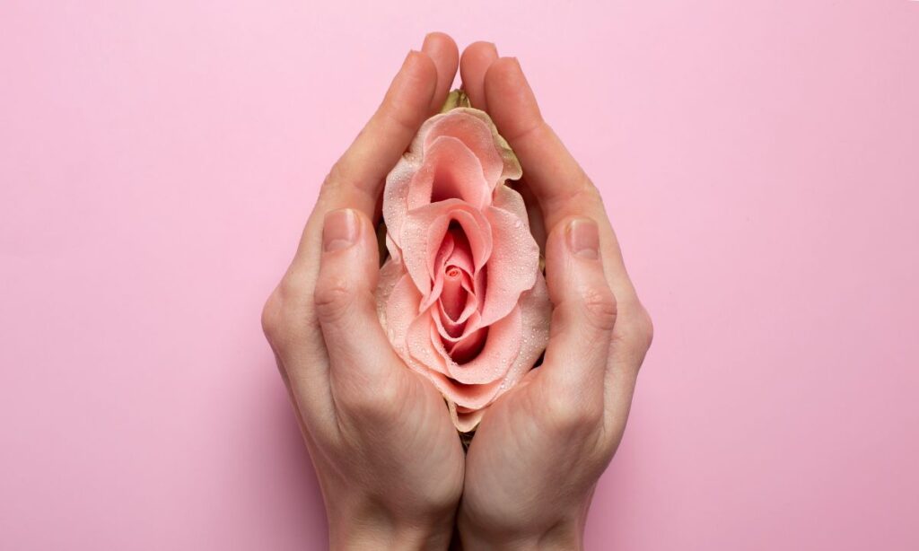 A top-view image of female hands holding a pink flower to imitate a shape of vagina, with light-pink background